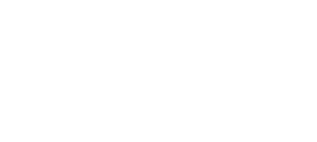 logoWhite